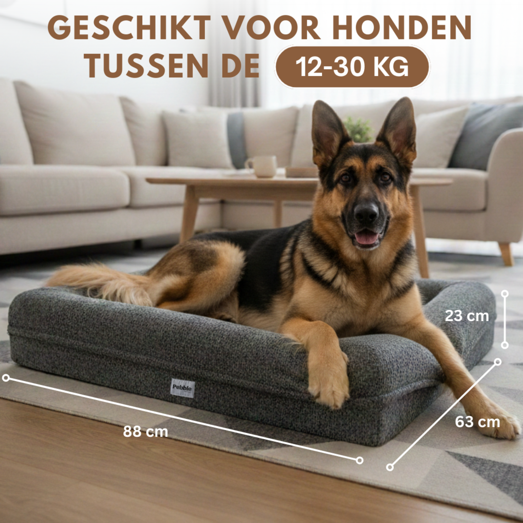 De Teddy - Donker Grijs