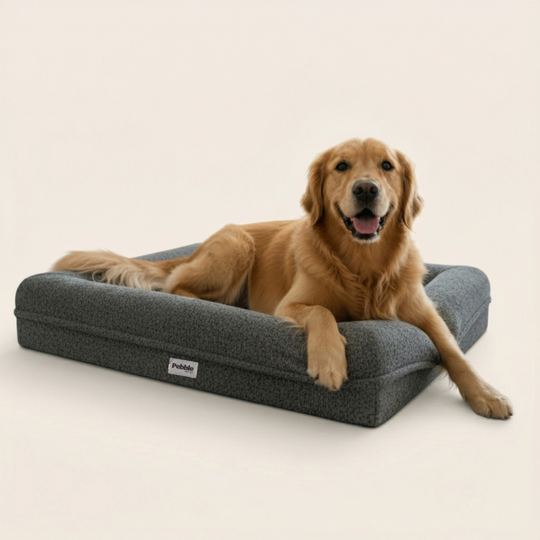 De Teddy - Donker Grijs