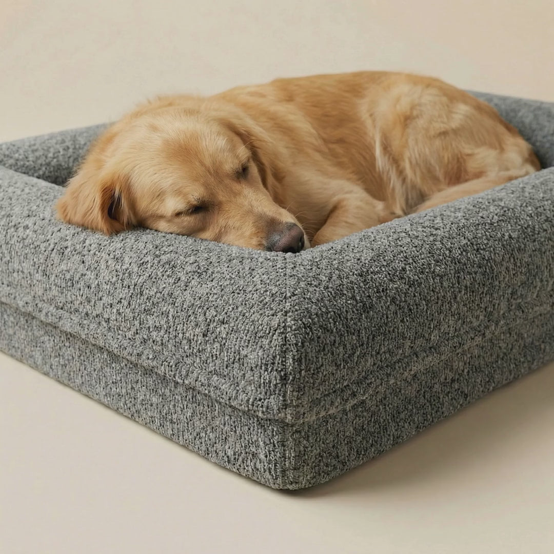 De Teddy - Creme Grijs